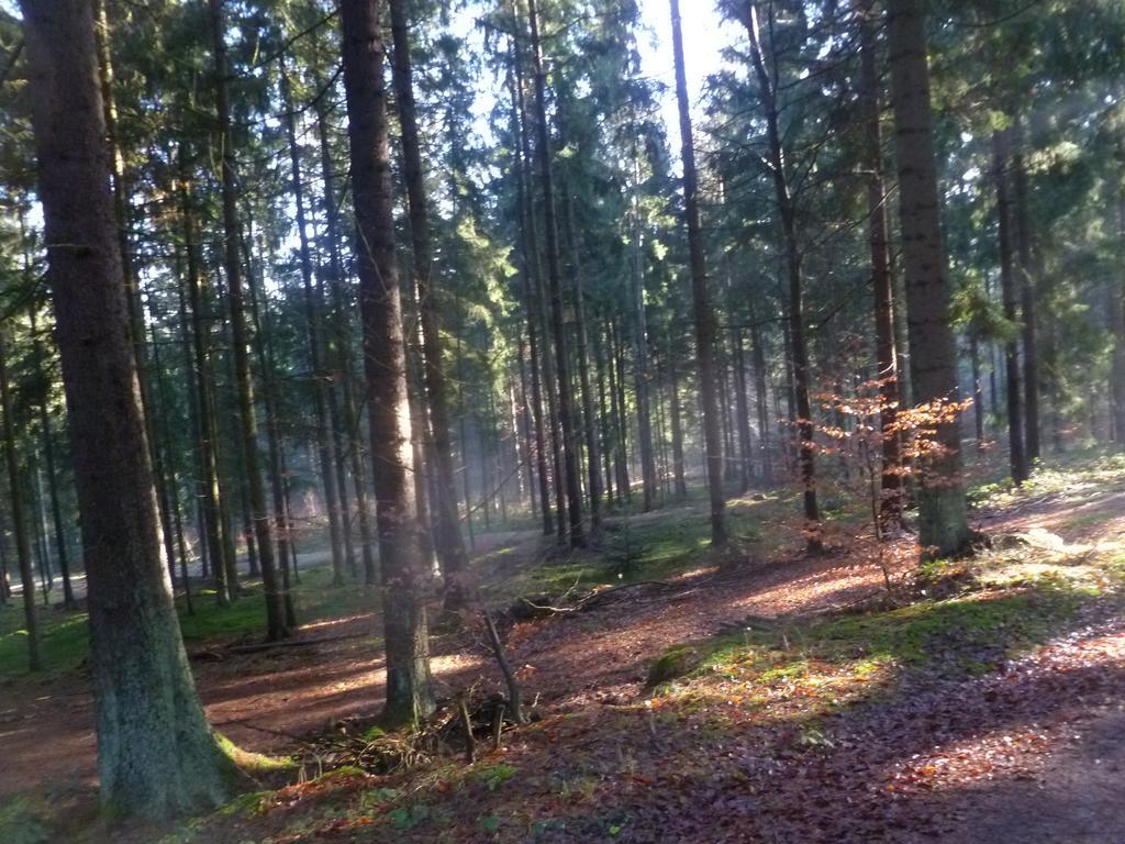 Blockhaus Bayerischer Wald Stamsried Εξωτερικό φωτογραφία